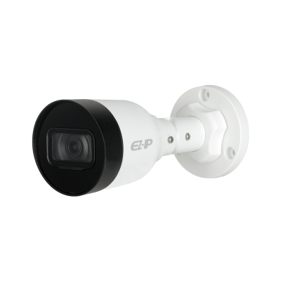 IP Cameras