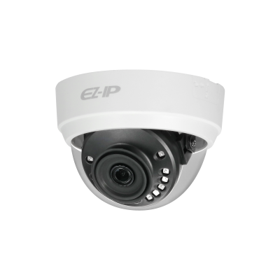 IP Cameras