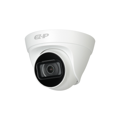 IP Cameras